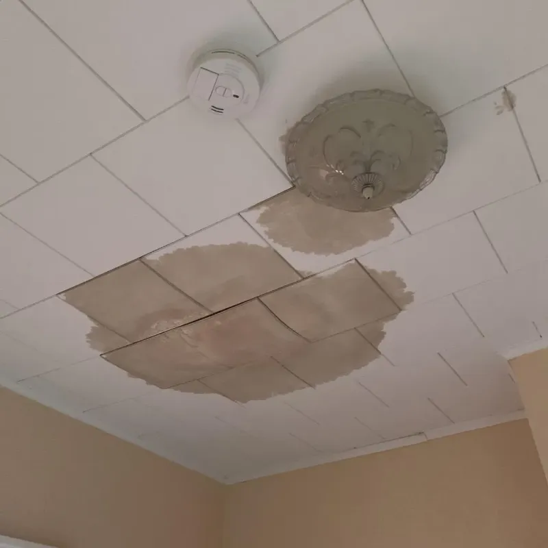 Ceiling Water Damage Repair in Mattapoisett, MA