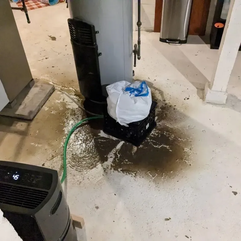 Sewage Backup Cleanup Service in Mattapoisett, MA